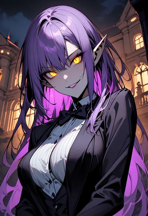  alone, female, sfw, medium plan, butler,  pointy ears , long purple hair,  golden eyes,  split pupils,  slightly glowing eyes: 0.5,  big boobs, butler pose,  sinister smile, mansion, night,  bow tie , elegant