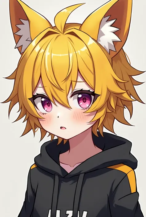 A hybrid boy who is human and has wolf ears, his hair and ears are strong yellow and his eyes have wolf pupils and his eyes are light pink and his skin color is white and he is wearing a hacker outfit and this one with a crazy expression on his face. , In ...