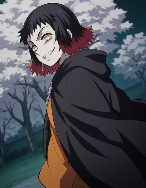 score_9, score_8_up, score_7_up, source_anime,
susamaru, susamaru, short hair, black hair, yellow eyes, red hair, multicolored hair, two-tone hair,
jewelry, smile, black hooded cloak, black cape, night, standing
solo, looking at viewer, cowboy shot, dutch ...