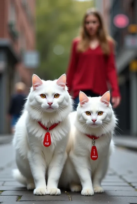 a woman walks next to a thick-haired white angora cat
woman and cat walking side by side facing directly into the camera ,the white cat is larger and taller than the woman next to her , The cat has a red necklace with the name BLUDY.