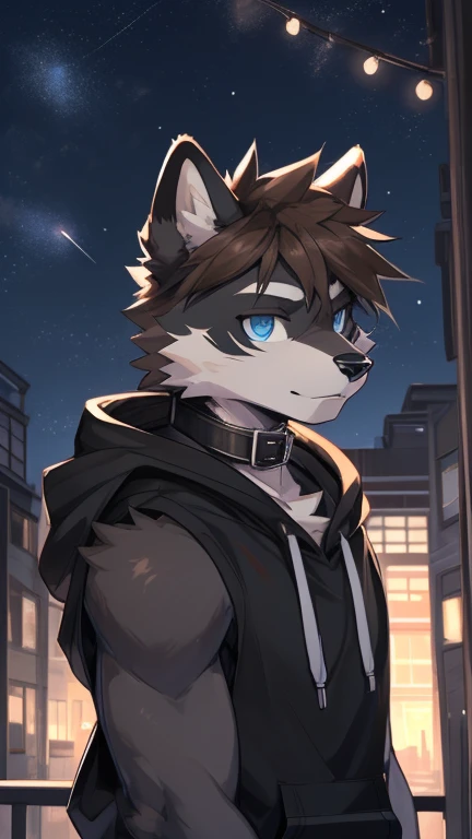 (Artist by zackary911, 8k, high quality, detailed eyes and fur, night, residents background), solo, male raccoon, anthro, brown hair, grey body, male body, blue eyes, black ears, hair covers eyes, hands white, oversized black collar, eyeliner black, sleeve...