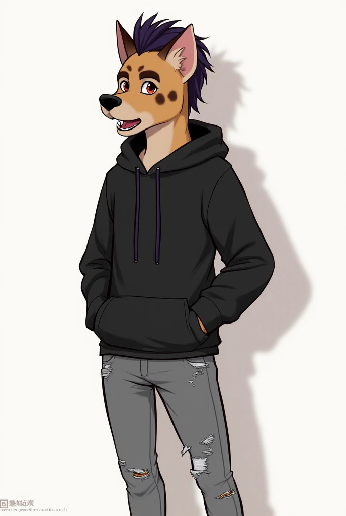 Gender: Male 

Species: anthropomorphic Spotted Hyena. 

Appearance: 
His fur is light brown, his spots, ear and mouth is dark brown. 

Eyes: red eyes, his pupils are sharp. 

Hair style: mohawk

Hair color: dark purple

He is wearing black hoodie and grey...