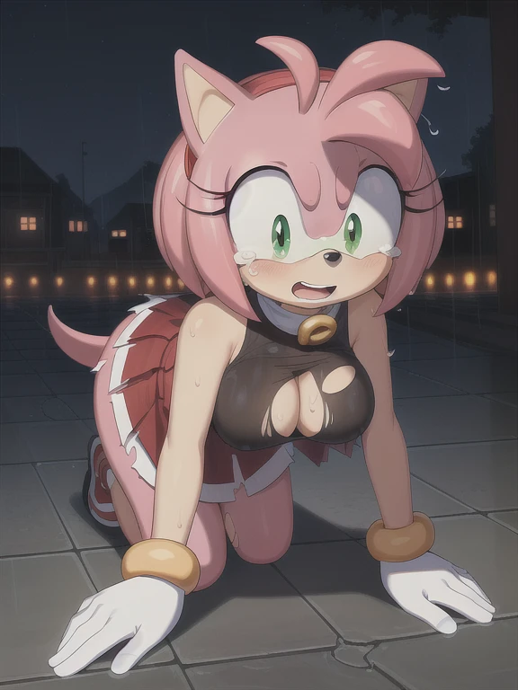 (masterpiece, best quality:1.1), (amy rose:1.1), 1girl, solo, dress, pink skin, looking at viewer,, detailed eyes, outdoors, skirt

holes in clothes, , bare shoulders, night sky, city masterpiece, high quality, sad, masterpiece, torn clothes, large hips, c...