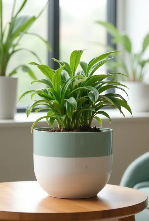 self-watering pot