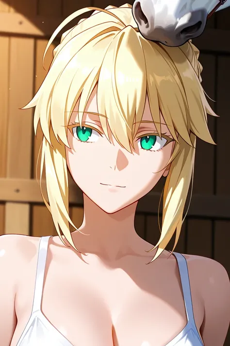 Artoria_pendragon_lancer(fate), blonde_hair, green_eyes, white_horse, 1horse, 1girl, barn