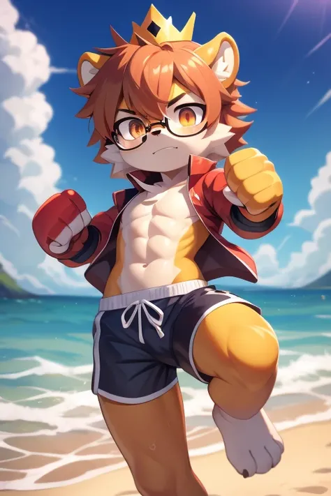 Result _9, result_8_ higher, result_7_ higher, source_carate, source_froe, shota, lion, red hair, orange eyes, detailed body fure, ((glasses, red jacket, open clothes, blue swimming shorts, prince crown)), flat body, plate Wonderful artistic, look at you, ...