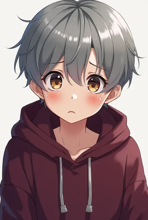 illustrated logo for kick, for a boy, head and shoulder only, anime style, gray hair, hazel eyes, wine shell hoodie, saying goodbye, sad, tears