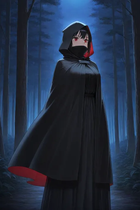 high resolution, masterpiece, necessary, detail, best quality, quality, necessary, details, High details, Precise, 
 
1girl_ ufotable style, ufotable anime, 

NNAssassinFSF, 1girl, solo, breasts, black hair, red eyes, dress, long cape, long skirt, hood, bl...