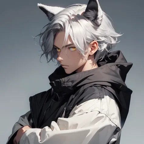  holding a very high resolution , masterpiece,  silver hair, yellow eyes,male 1, 25 year old male, Bundled hair on one side , wolf ears,  simple background , 