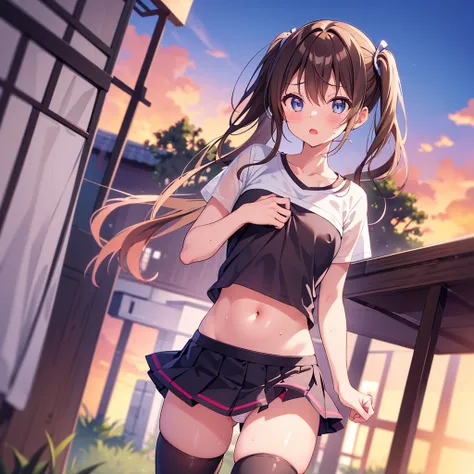  Masterpiece,  top quality,  Ultra Details, 8k_wallpaper, ( beautiful eyes), (( cute)),  cute, (wonderful), (erotic), Anime Moe Art Style , 1 girl, Alone, underwear, ,  Panty Shots ,  skirt, , ,,ミニ skirt, 1 girl, chest,, , ,,,  brown hair,  shirt, ,  twin ...