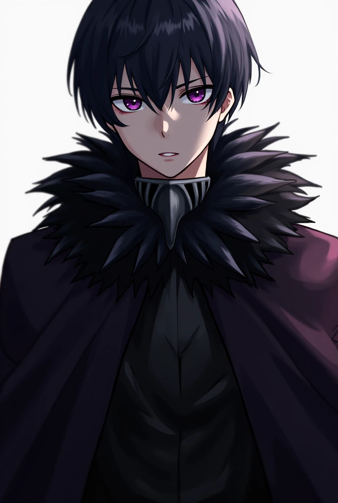 Anime, 2d, A cloak, a neck cape of black feathers, the beak of a raven, guy, man 