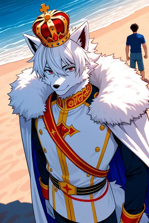 Anime, 2d, expensive clothes, red beach, white fur cape, bobbed hair, man, guy, king, crown, adult