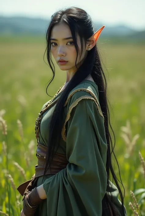 Upper body shot, female, pointed elf ears, white skin, black hair, closed mouth, antique travel outfit, dynamic pose, complex fantasy character, NSFW, cinematic lighting, fantasy, magic, detailed background, in a sunny green plain, best quality, HDR, 8k, p...