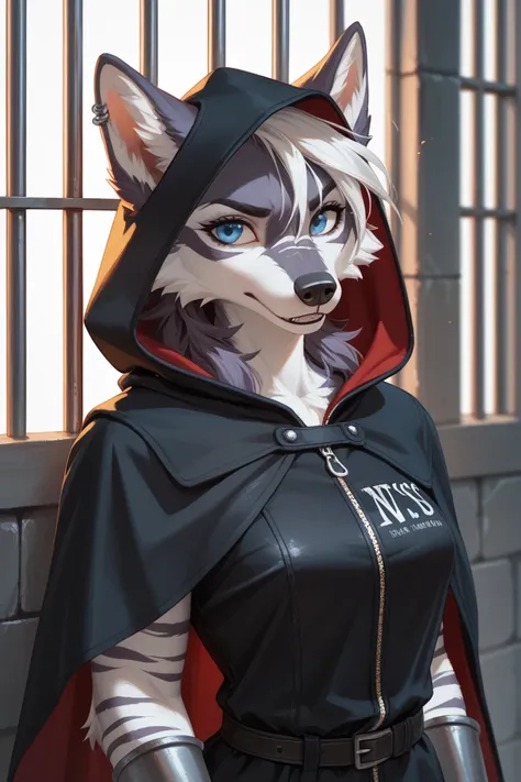 Anthropomorphic female wolf
Medieval fantasy
Chaotic temper
Wears a black hooded cloak
Hood is pierced to let ears through 
Only armor piece is a leather tunic with a zipper 
Wields a bow
Blue eyes
Dark fur
Red dye on ears and around the eyes
Three white s...