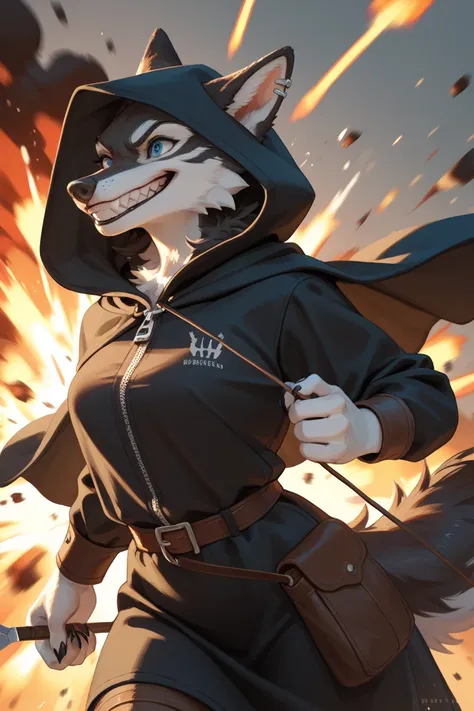 Anthropomorphic female wolf
Medieval fantasy
Blue eyes
Black hooded cloak
Hood is pierced to let ears through 
Brown Leather tunic with a zipper
Arrow hidden under left sleeve 

Black fur
Red dye on ears and around the eyes
Three white stripes on nose

Run...