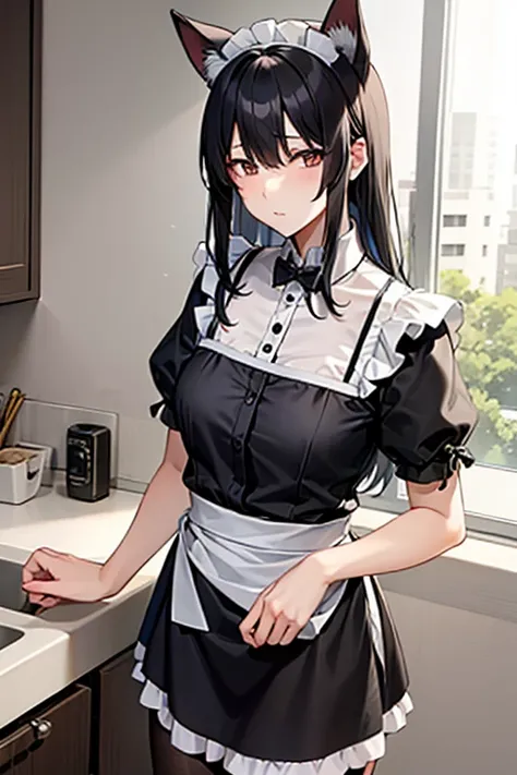  is wearing maid clothes。Has dog ears 。Black haired sister。