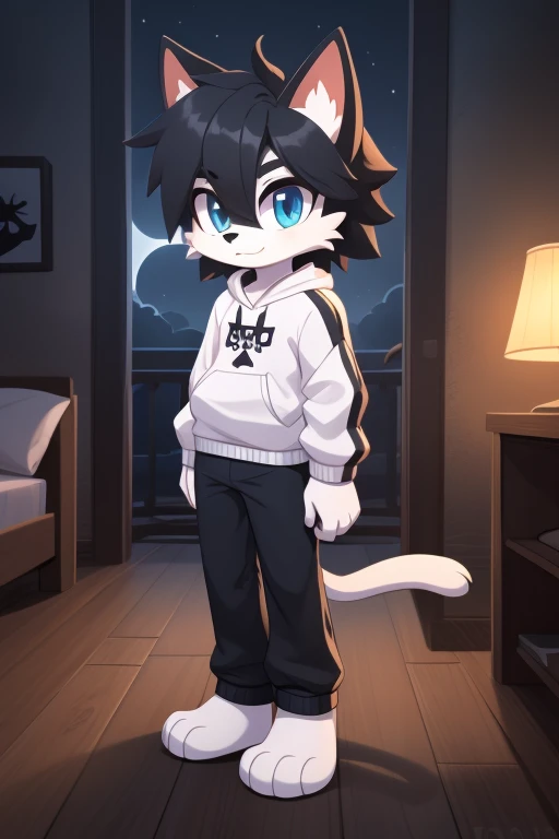 A Furry Cat with white fur   , To be tall and thin and to have paws and to have dark blue eyes and to be male and to have long, spiky male hair and black and to wear a white sweatshirt with a small moon symbol on the white sweatshirt and to wear black pant...