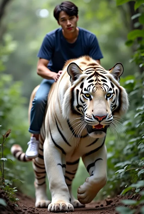 1 beautiful Korean adult man,senyum,rambut pendek tertiup angin,very beautyfull,.wear a t-shirt,jaket navy,dan celana panjang.white shoes. riding a giant tiger in the jungle, very big white king tiger, tampak depan, facial details.
