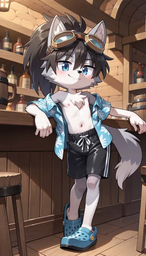 score_9, score_8_up, score_7_up, 1boy, solo, masterpiece, best quality, amazing quality, very aesthetic, absurdres, source furry, mobian wolf, blue eyes, wolf ears, wolf tail, wolf features, two tone body fur, grey body fur, white body fur, black hair, mes...