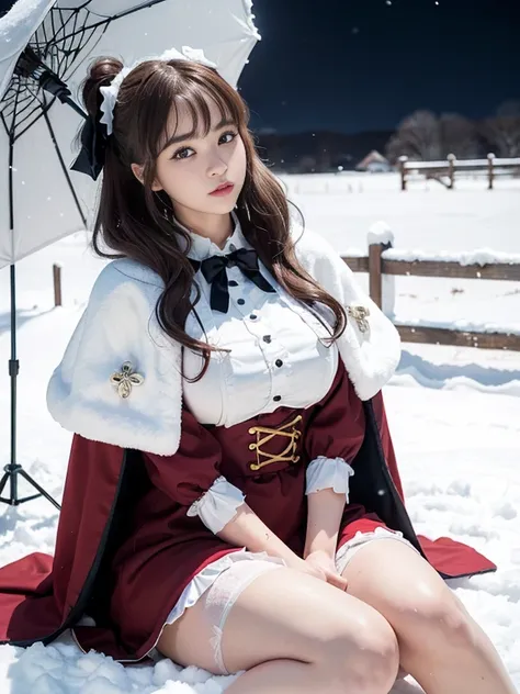 pheasant，Sit crouched，Bare legs，(Focus on thighs)，((outside，Actual heavy snowfall，Cape，Cover with snow，(Lolita Outfit )， Horizontal composition)),  Nuclear division,  Brandon Flake , (8k, ........Native,  Professional,  BEST QUALITY,  Masterpiece: 1,2), ( ...