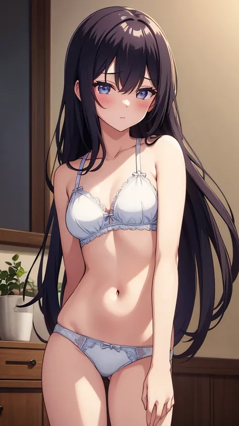 s underwear, high resolution,  long hair,  Masterpiece,  high definition model,  blushes, 