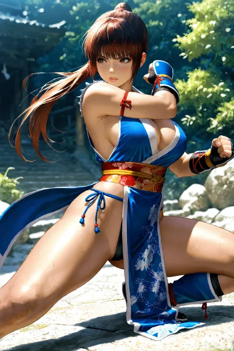 Kasumi, Dead or Alive, Combat Stance, Masterpiece, Top Quality, Amazing Quality, Detailed Background, Intricate Details