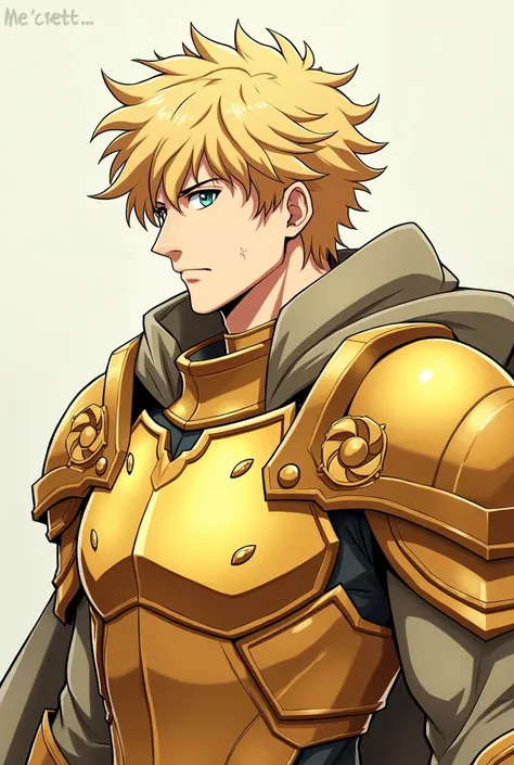 In anime design:hair:  Blond and somewhat disheveled ,  with tufts that fall on his forehead
Eyes : Verdes
Clear complexion : 
:  Muscular and athletic build ,  reflecting his great physical strength
:  He wears the Golden Armor of Leo , which has an impre...