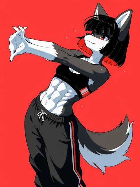 (( Masterpiece,  top quality, dynamic angle)), (furry:1.3, black fur, Nose first:1.2, wolf ears, wolf tail,　anthro :1.3, Female Solo:1.3, Chest:1.3,red background),full body, Stretching, Zazen meditation, happy, fang, cleavage, sweating profusely, bob cut,...