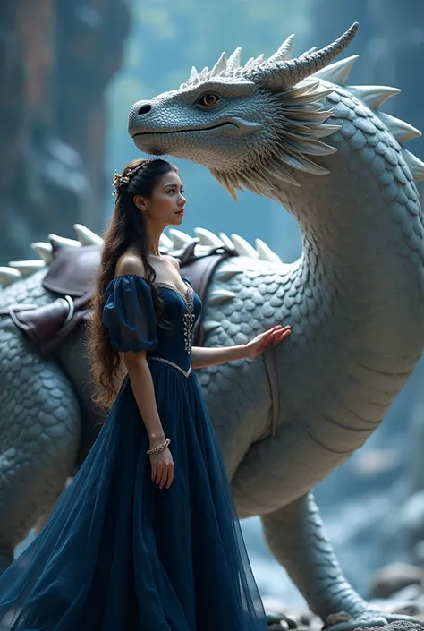 A beautiful princess wearing an humble and elegant navy blue dress standing in front of a dazzling silver dragon with a saddle on its back the woman has a hand on the dragon’s side and she is facing the viewer 