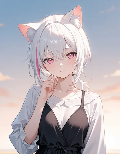  masterpiece, best quality  ,  latest , of, 美丽of女性 ，Cat ears，White hair， pink eyes，streaked hair，Low Ponytail