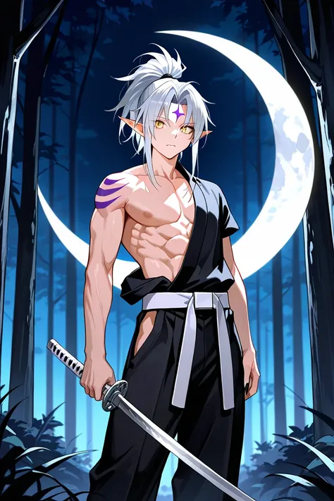 BEST QUALITY, ULTRA DETAILED, PERFECT ANATOMY, HIGH DEFINITION, INTRINCED DETAILS, ALONE, 1boy, toned, long silver hair, high ponytail, side locks, golden eyes, slit pupil, pointed ears, two purple stripes on each cheek, a crescent moon on the forehead, sh...