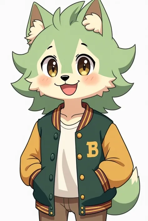 Male. Human with dog features. Demihuman. Varsity jacket, fluffy pale green hair with floppy ears, light tan, a happy grin, round cheeks 