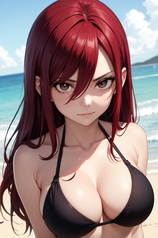 absurdres, high res, ultrasharp, 8K, {masterpiece}, expressive eyes, extremely detailed, best quality, perfect face, erza scarlet, long hair, (red hair:1.5), hair between eyes, (brown eyes:1.7), large breasts, pleased, beach, bikini, seductive pose,