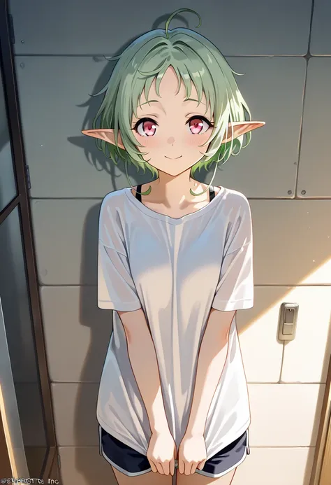 masterpiece,best quality,official art,wall paper,absurdres, beautiful detailed face,detailed texture,detailed skin,BREAK 1girl,source_musyokutensei,Sylphiette ,shirt,shorts,room