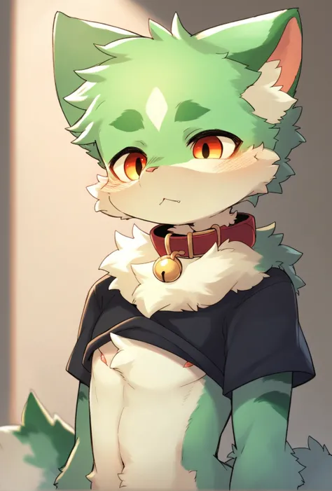 Kemono, femboy, collar, neck fluff, source_furry, score_9, furry_cat, black_and_green_fur, score_6_up, zPDXL 