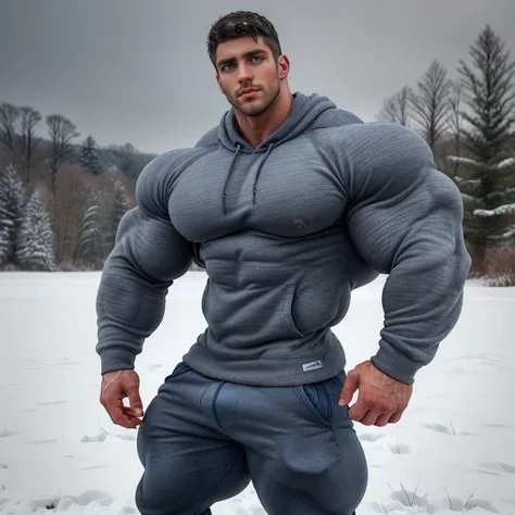 a very handsome man, big eyes, a little muscular, defined chest, defined muscles, wearing a dark blue big sweatshirt with gray pants, Adidas, standing sideways in a snowy field at dawn, seen from close up