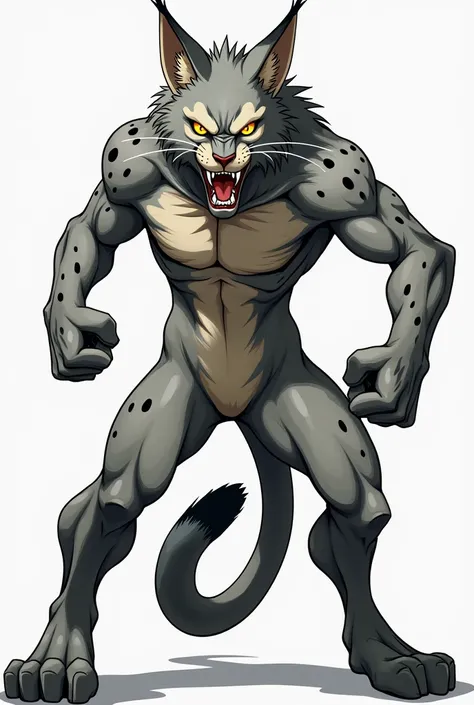 anime human-lynx with spots angry slim one piece style rob lucci gray adult 