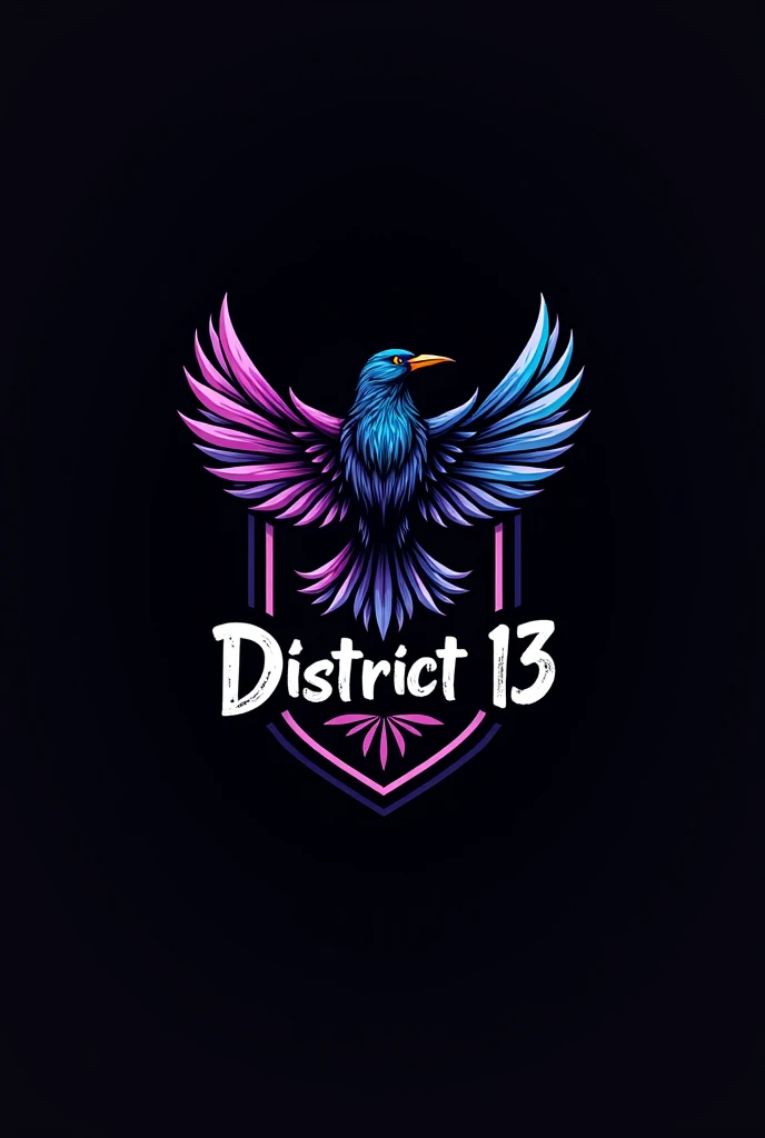 Make a PNG logo in the colors black ,  purple and blue of a shield-like thrush bird with the name DISTRICT 13 written more like a drawing,  with a black background 