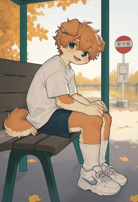 source_ furry， furry male，elementary school students，((boy  )),Dog boy  ,short hair,masterpiece, newest,absurdres, incredibly absurdres， from the side, bright eyes, detailed eyes,short hair,  messy hair, blush,  laugh, head tilt，White Socks， sneakers, uppe...