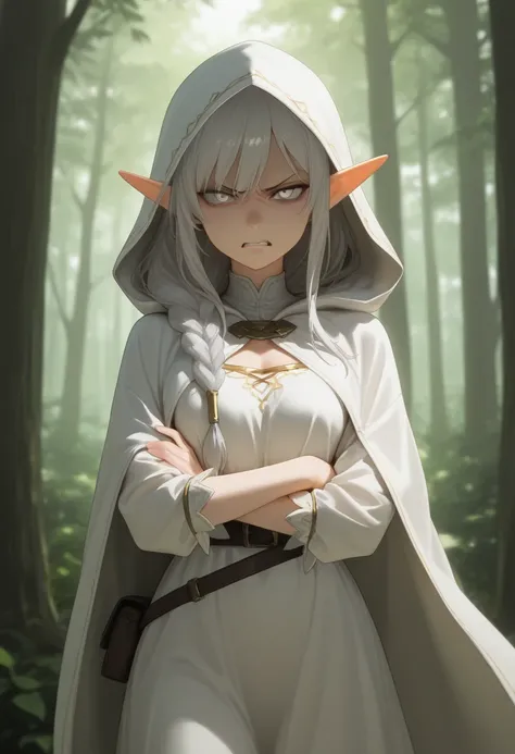 masterpiece, best quality, amazing quality, (furious, mad, annoyed, glaring), up the sideperbody shot, 1girl, Elf, Braided hair on one side, silver hair, silver eyes, white dress with hood, looking at viewer, forest background, depth of field, Diffuse Ligh...