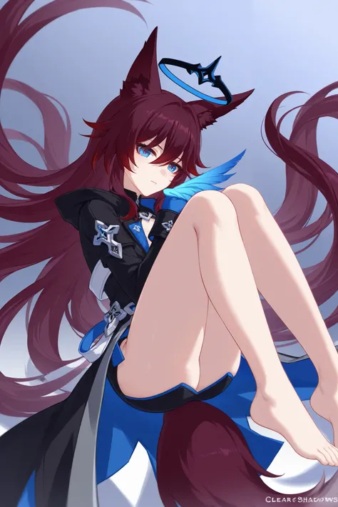  fox ears、dark red hair、 long hair、Fox Tail、midnight blue eyes、 best thighs、Honkai Impact 3、Feather、Halo、 beautiful skin、Clear shadows、front、 long coat、 barefoot