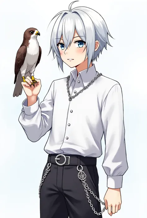 The anime boy had a falcon chained to his hand. The falcon was on his hand. The boy was wearing a white long-sleeved shirt and black pants. His hair was silver-white, slightly long, his eyes were blue, and his shirt and pants had decorative chains.