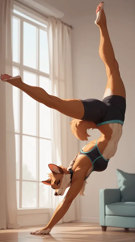 Source_furry, 1girl, furry, anthro, Stretching