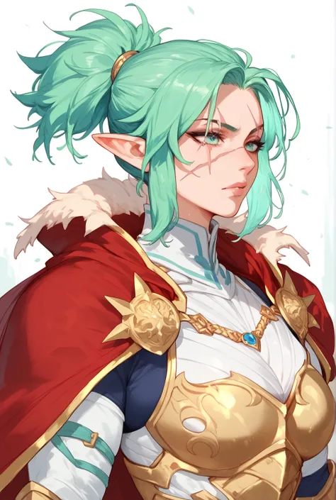 Woman, pointy ears, scars on the body, Green hair, blue hair tips, hair tied in a Full ponytail,Armor,Scar on the eye ,Red cape with fur 