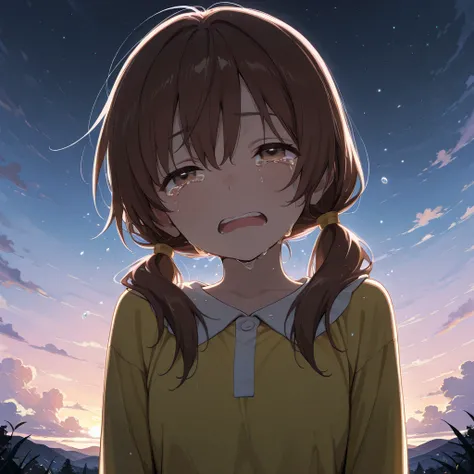 High resolution, Super detailed, Best Quality, masterpiece, 8K, 4K, beautiful background, the best aesthetics, (flat color:0.6),
long sleeves yellow onepiece,1girl, brown_hair, brown_eyes, low_twintails, crying, tears in eyes, open mouth, panic.
before daw...