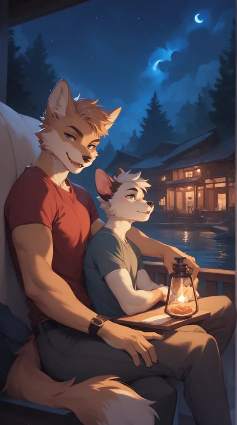 Source_furry, (((1boy))), furry, anthro, night 