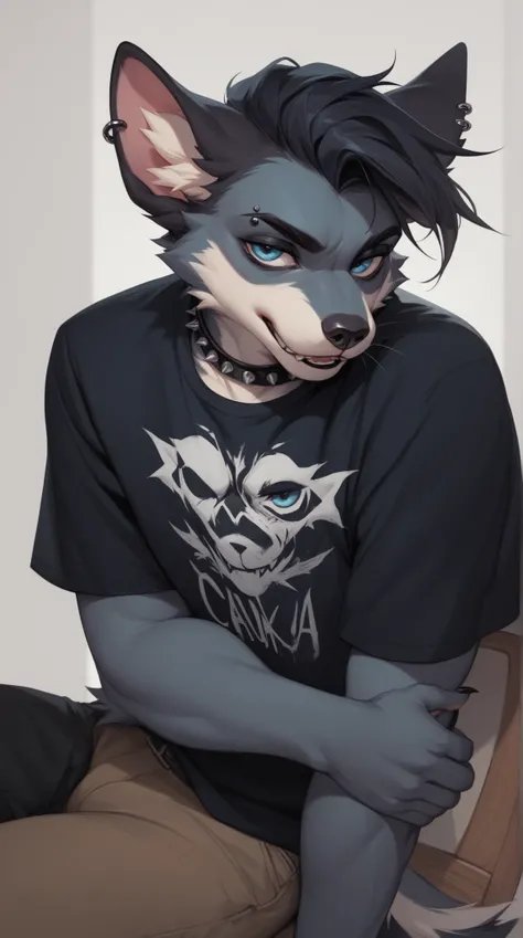 Source_furry, (((1boy))), furry, anthro, goth 