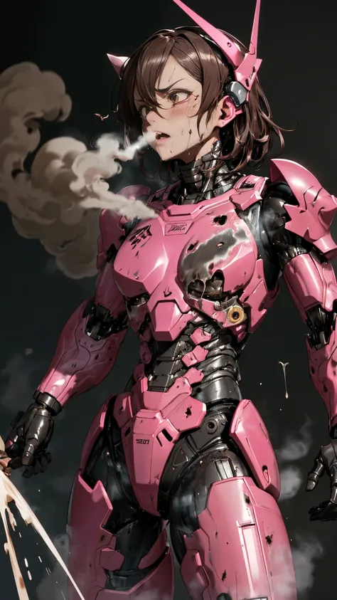 ,       very detailed  ,    more info   ,       nothing    , 最      nothing    ,        nothing     ,  Desert 、      smoke is coming out of my pink body wounds   　    A woman wearing pink armor full of scars    　  steam will come out broken full face armor...