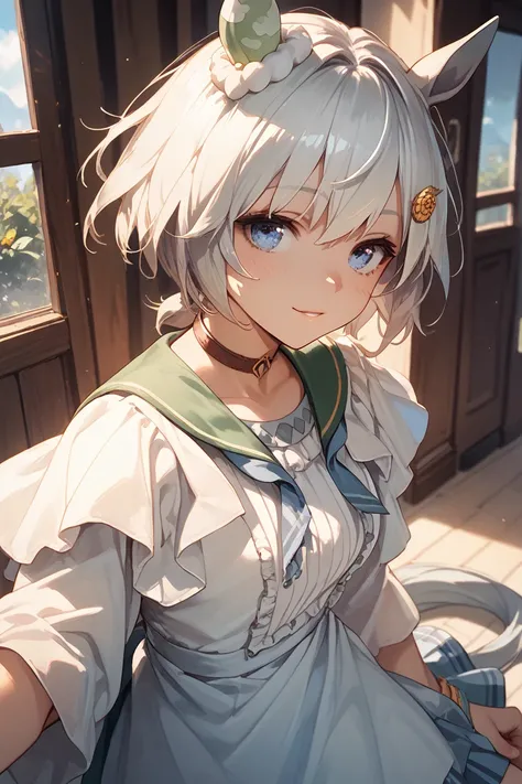 Seiun_Sky, horse ears, horse tail, short hair, white hair, bangs, hair ornament, hairclip, blue eyes