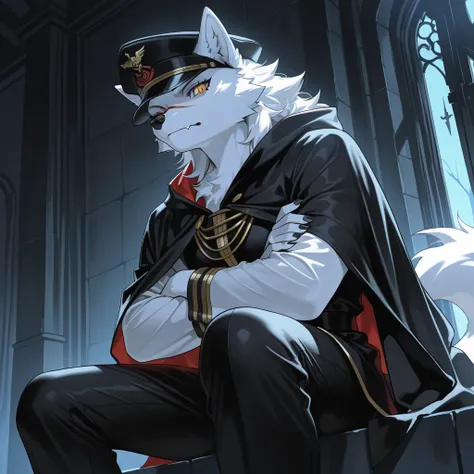 masterpiece, best quality, amazing quality, very aesthetic, newest, furry anthro, white wolf furry, sharp gaze，Super detailed illustration，solo person，Dark night，Dark streets, black captain hat, scar on nose, from below, figure four sitting, amber eyes, cr...